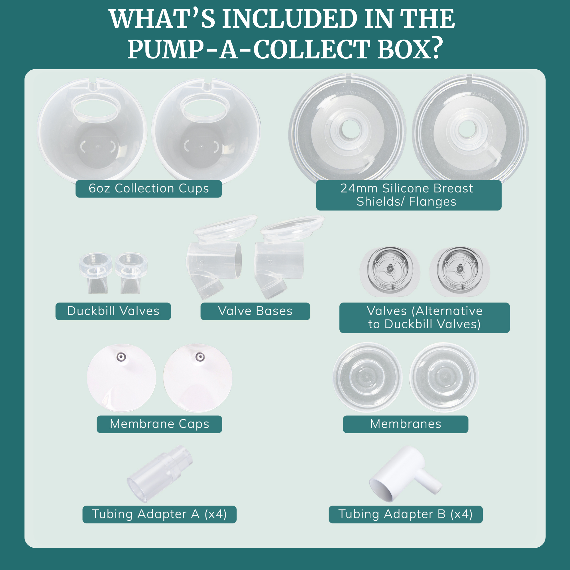 Milk Collection Cups with Silicone Flanges - Pump-A-Collect