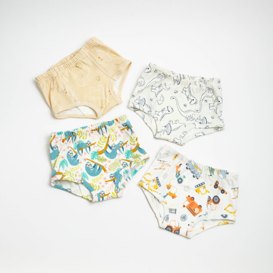 Adventure-Ready Organic Potty Training Underwear (4 Pack) - BIG FRENCHIES