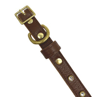 Plain Leather Dog Collar - BIG FRENCHIES