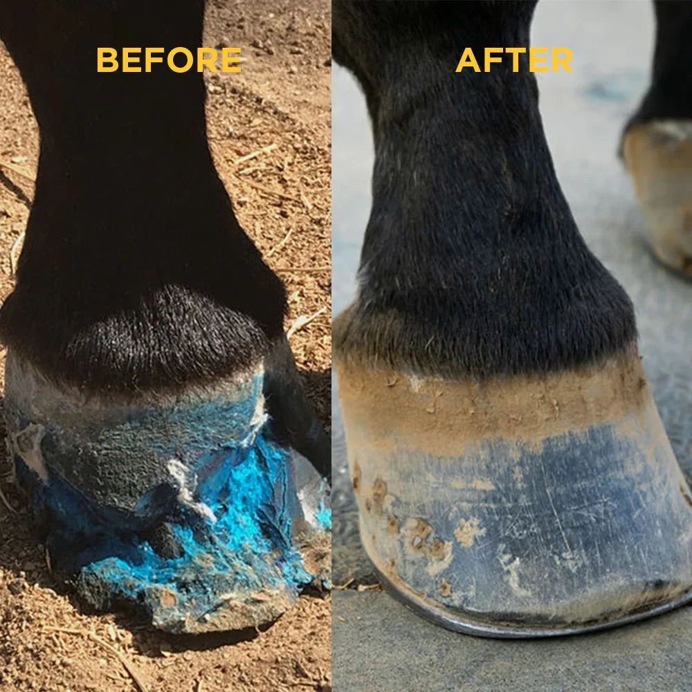 Vetericyn Hoof Care Horse Thrush White Line Seedy Toe Deep Penetrating Treatment 8 oz.