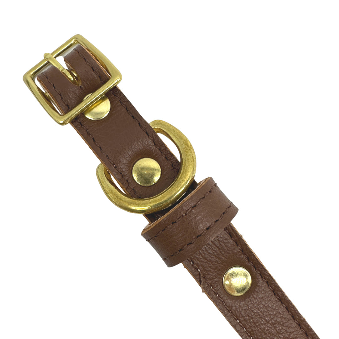 Plain Leather Dog Collar - BIG FRENCHIES
