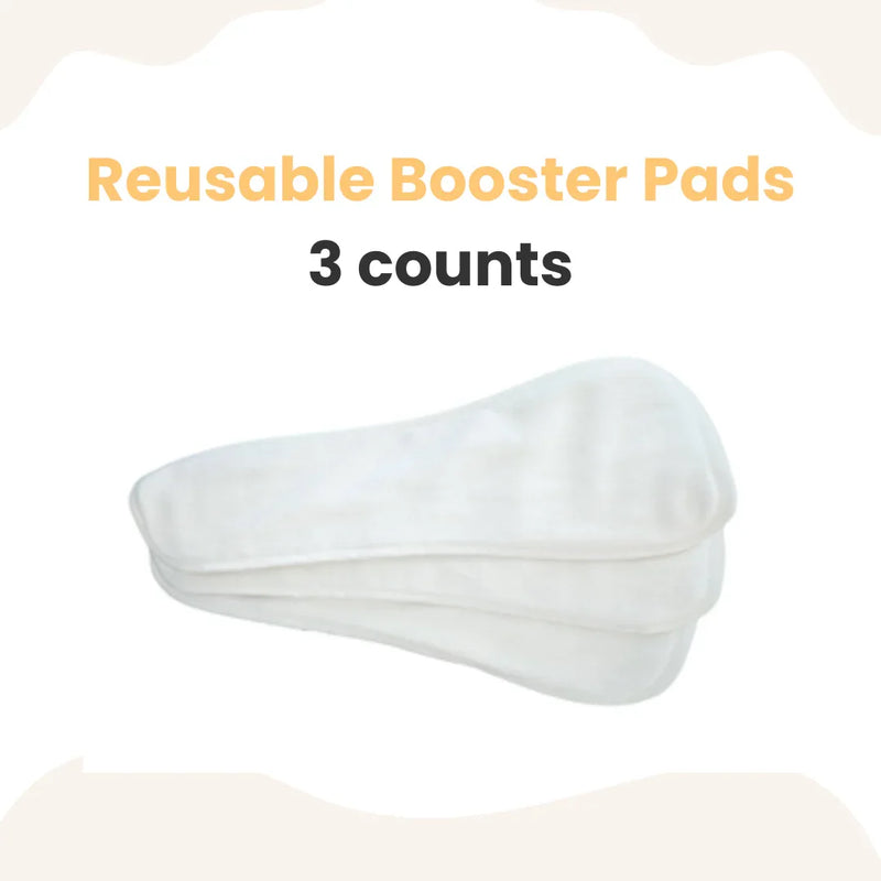 MyBeeBear Reusable Booster Pad (3 counts) - BIG FRENCHIES