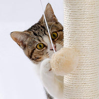 Indoor Cat Soft Scratching Board And Interactive Ball Track Toy Cat Rest And Grooming Supplies