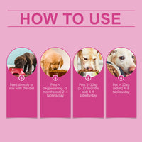 Dog Pre & Probiotic Digestive Care Tablets, Gut Health Supplement For Dogs, Supports Digestion, Immunity, Skin & Vision 