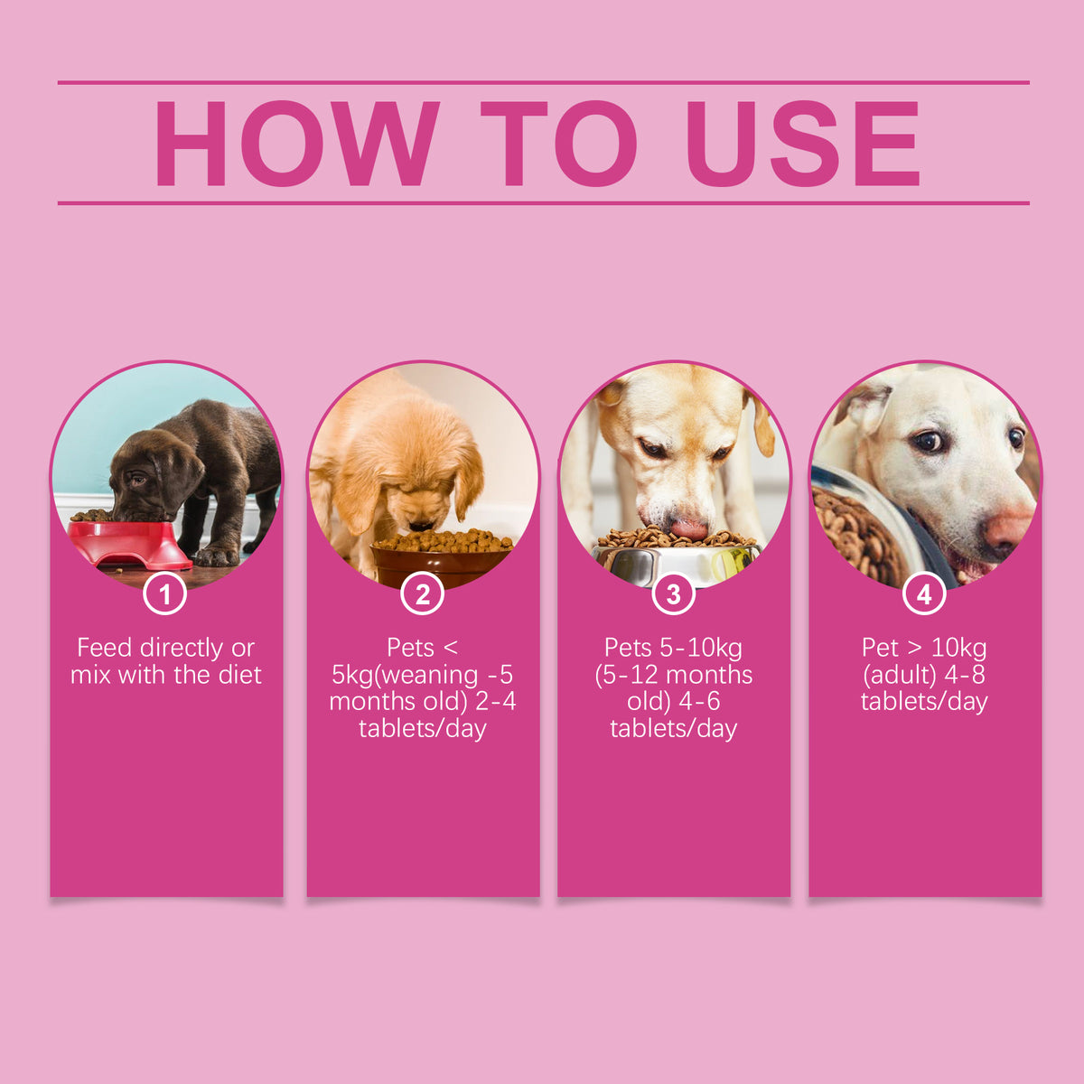 Dog Pre & Probiotic Digestive Care Tablets, Gut Health Supplement For Dogs, Supports Digestion, Immunity, Skin & Vision 