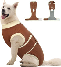 Female Dog Recovery Suit After Spay, XS–2XL