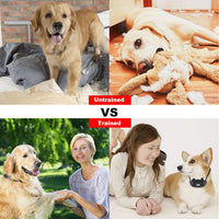 1Pc Dog Training Collar With Remote IP67 Waterproof Pet Trainer 300mAh Rechargeable 875 Yard Remote Control 4 Modes Adju
