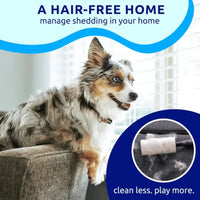 Blue pat your pet hair removal dog brush for hair removal - indoor cats use cat brush, long and short haired dogs use do