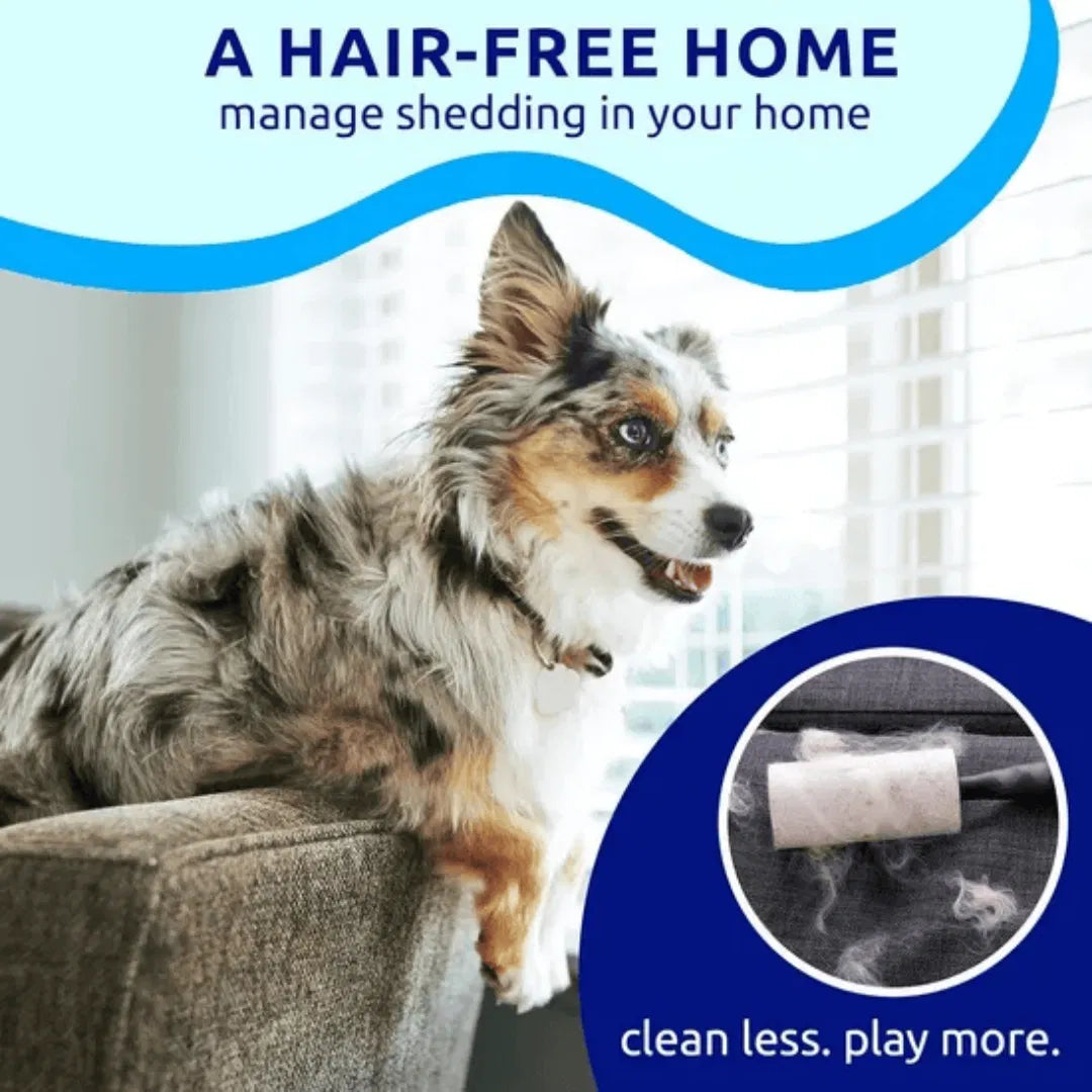 Blue pat your pet hair removal dog brush for hair removal - indoor cats use cat brush, long and short haired dogs use do