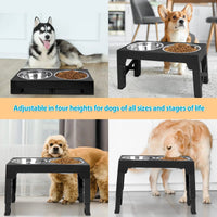 Top 10 Elevated Dog Bowl Stands with Stainless Steel Dishes - BIG FRENCHIES
