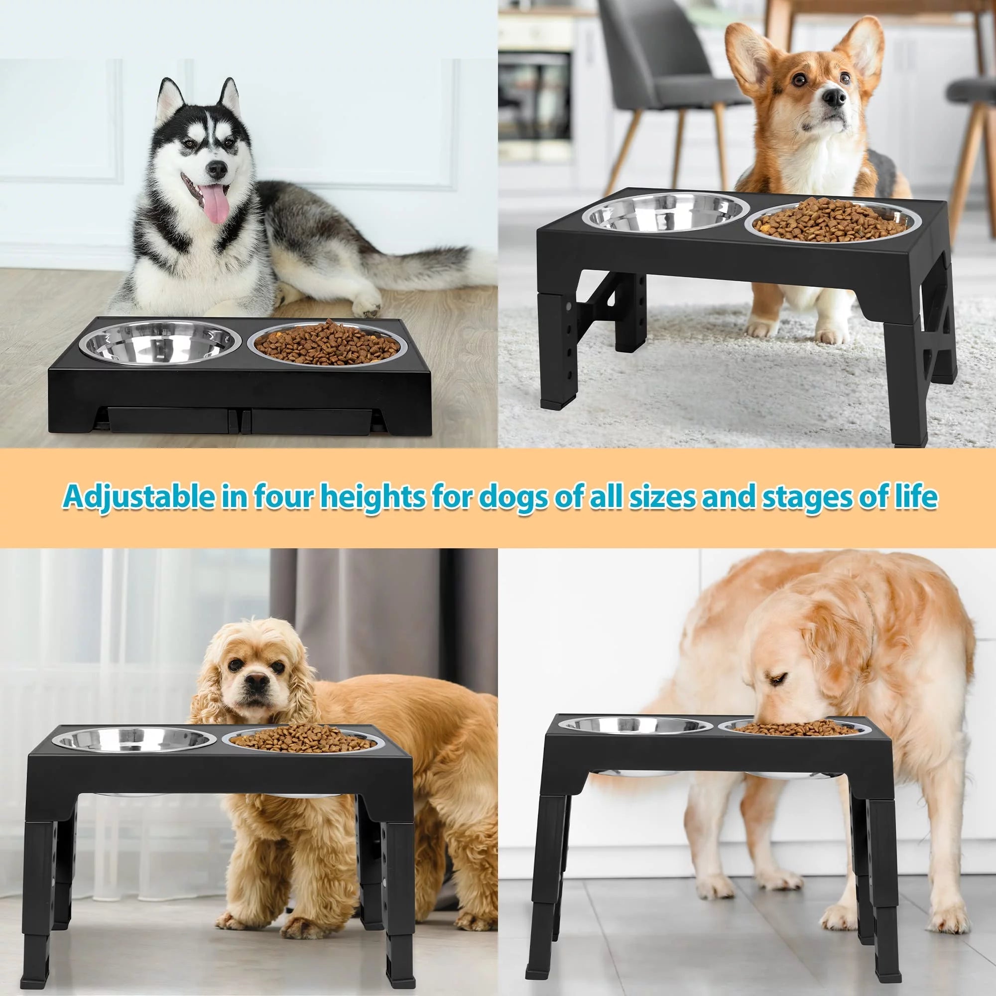 Top 10 Elevated Dog Bowl Stands with Stainless Steel Dishes - BIG FRENCHIES