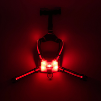 LED Dog Harness