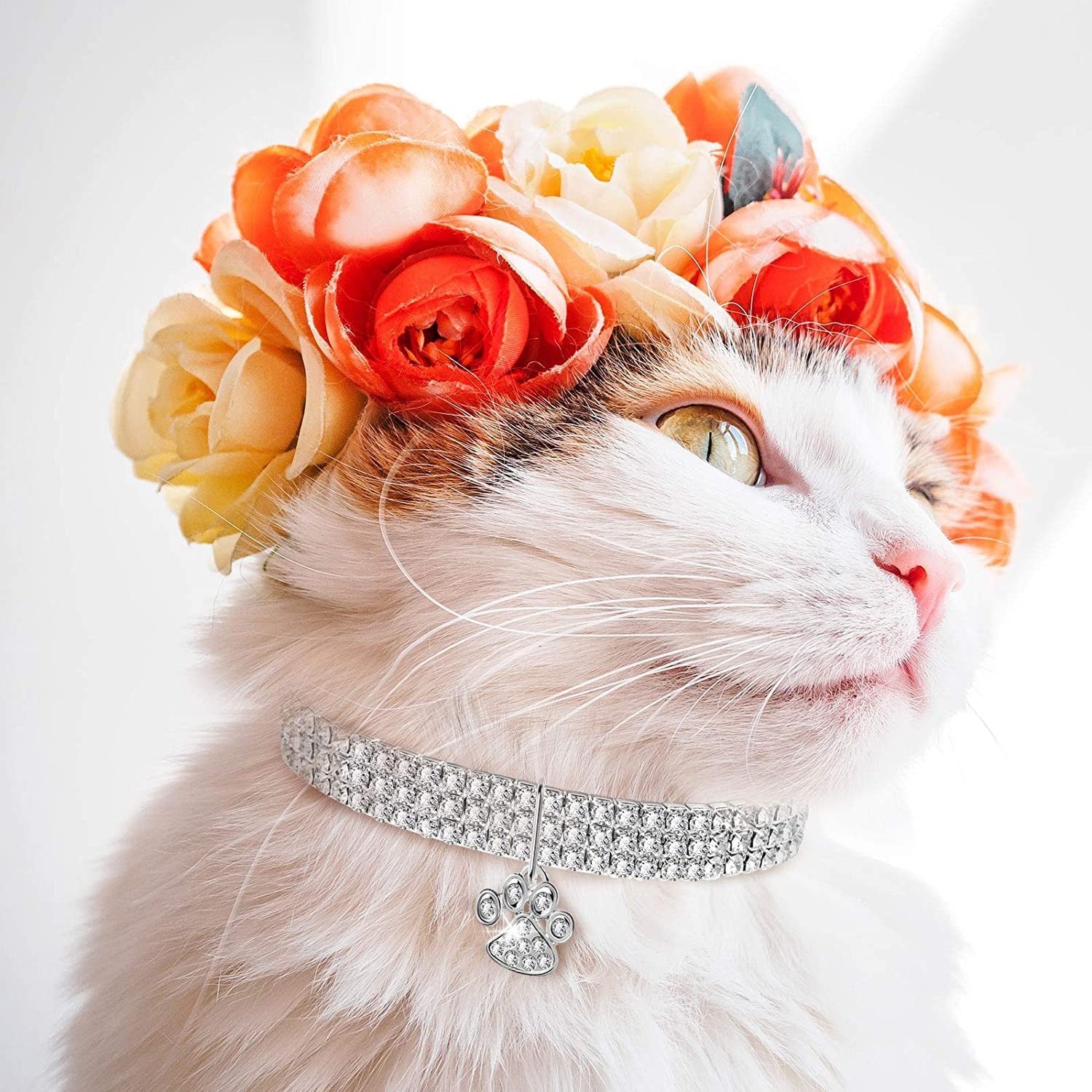 Crystal Cat Collar Elastic Pet Necklace - BIG FRENCHIES