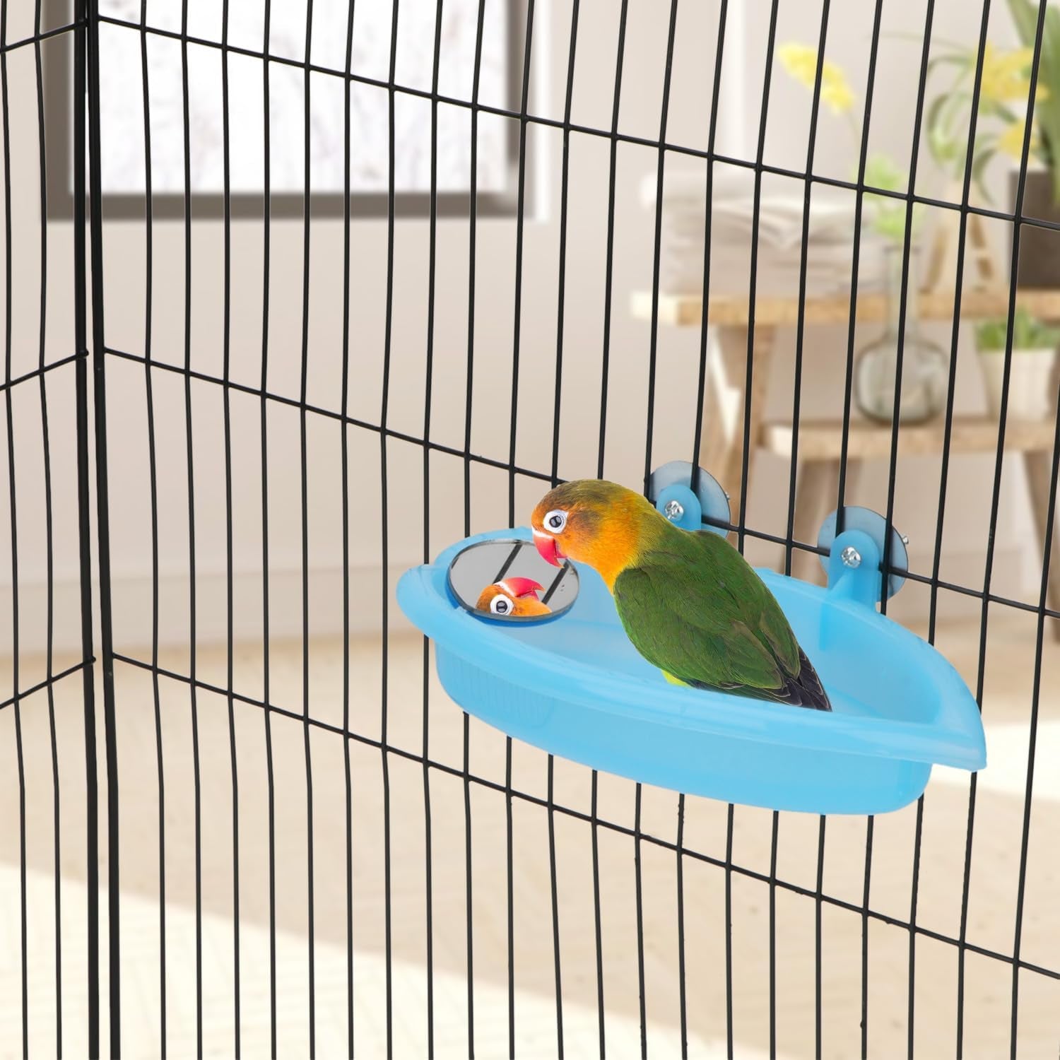Bird Bath with Mirror Portable - BIG FRENCHIES