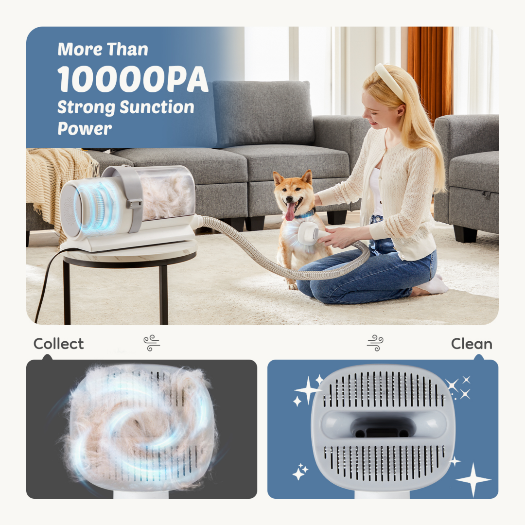 Professional Dog Grooming Clippers With 2.5L Cup, 3 Suction Modes, Cordless Clippers, 5 Groomer Tools, Low Noise Pet Hai