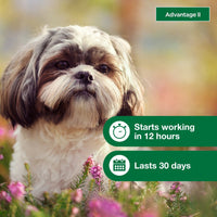 Vet-Recommended Flea Prevention for Small Dogs 3-10 Lbs, 6-Monthly Treatments - BIG FRENCHIES