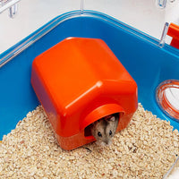 Combi 2 Starter Hamster Cage | Includes Accessories | 31.3L X 11.61W X 10.35H Inches, Blue - BIG FRENCHIES