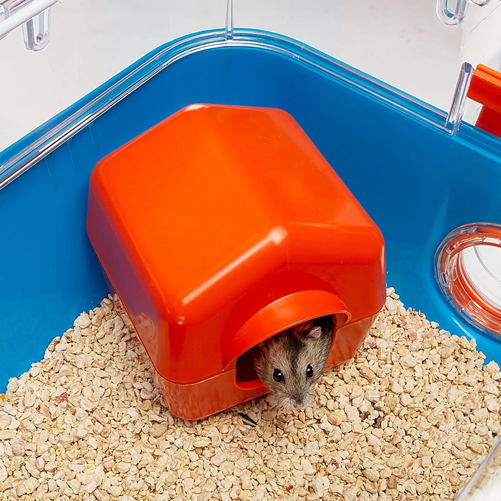 Combi 2 Starter Hamster Cage | Includes Accessories | 31.3L X 11.61W X 10.35H Inches, Blue - BIG FRENCHIES