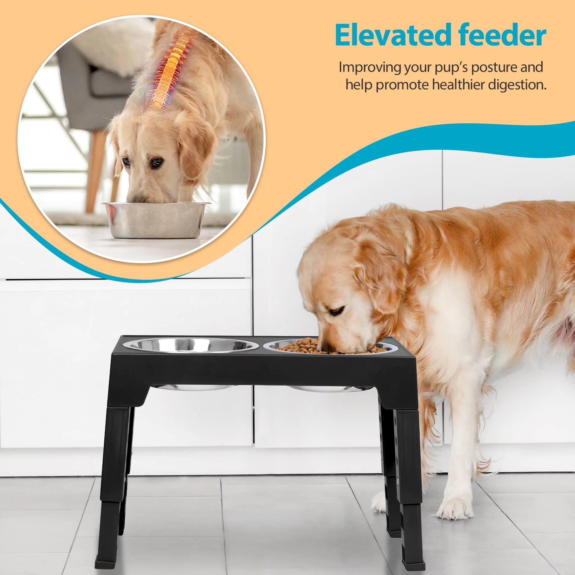 Top 10 Elevated Dog Bowl Stands with Stainless Steel Dishes - BIG FRENCHIES