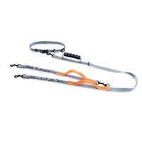 Multifunctional Handsfree Bungee Dog Leash - BIG FRENCHIES