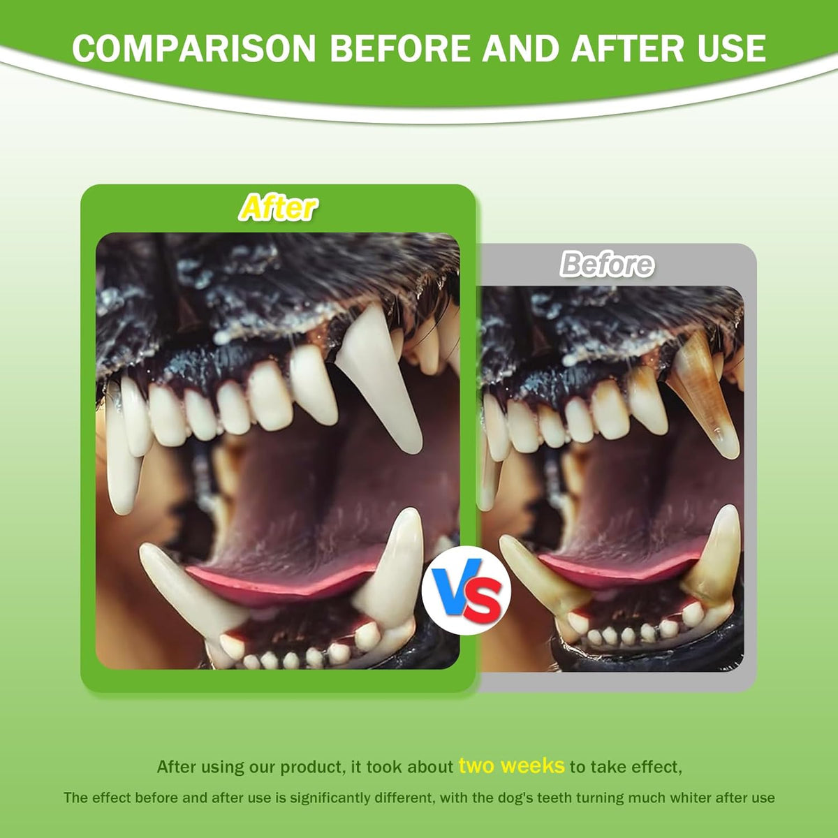 Pet Dental Powder - Freshens Breath, Protects Gums And Strengthens Teeth. An Essential For Daily Oral Care And General D