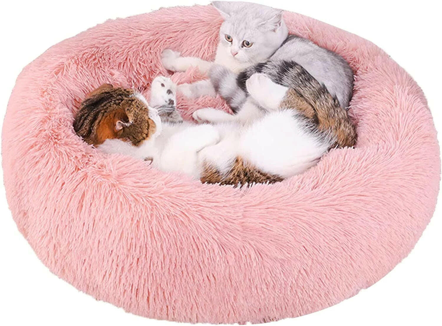 Cozy Donut Dog Bed: Anti-Anxiety & Self-Warming Comfort - BIG FRENCHIES