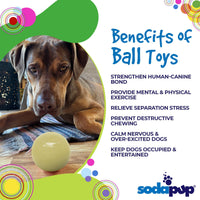 Squeak Ball - Durable Squeaky Dog Toy, Floats, Chew Toy | USA Made - BIG FRENCHIES