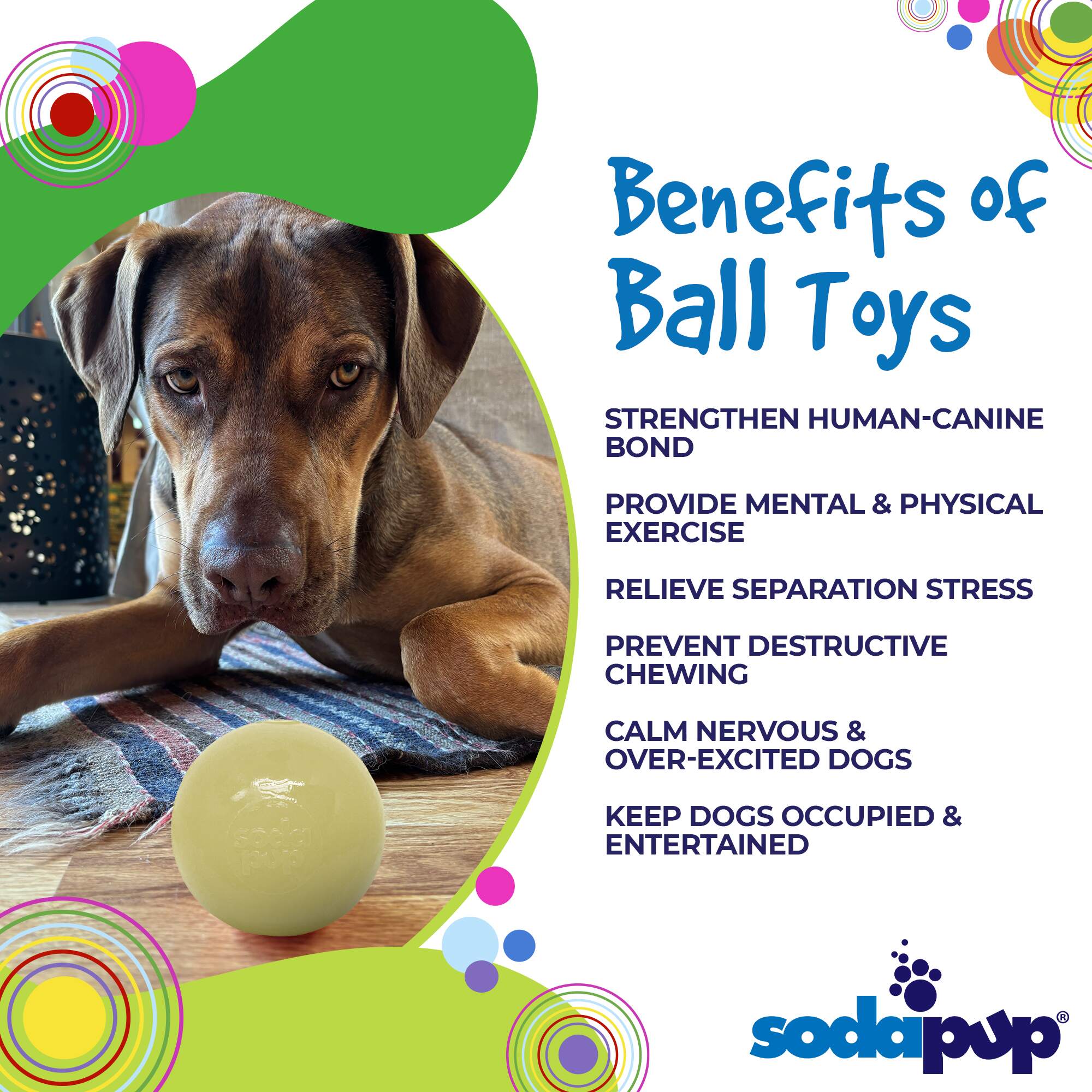 Squeak Ball - Durable Squeaky Dog Toy, Floats, Chew Toy | USA Made - BIG FRENCHIES
