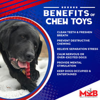 Christmas Tree Nylon Dog Chew Toy for Aggressive Chewers | USA Made & FDA Compliant - BIG FRENCHIES