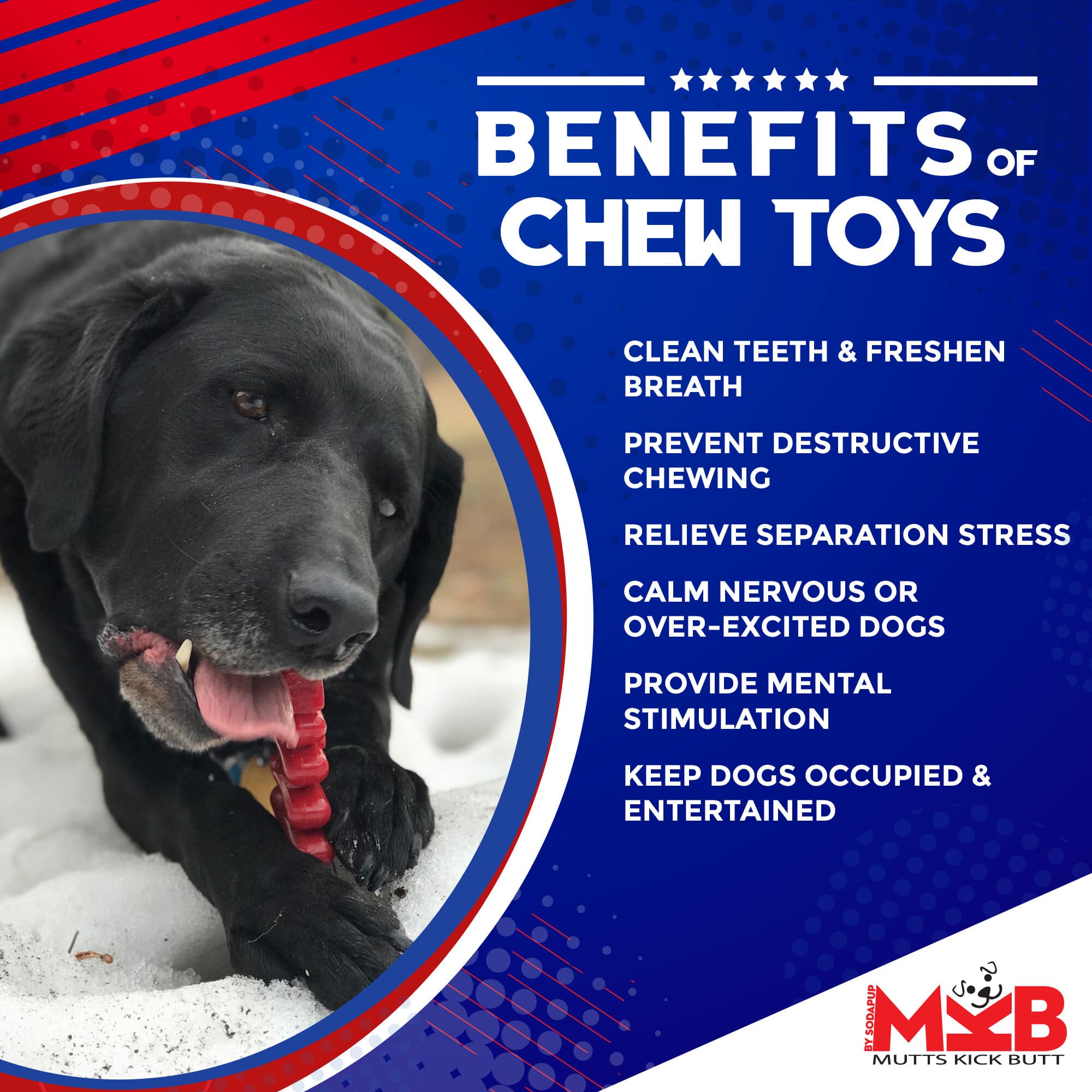Christmas Tree Nylon Dog Chew Toy for Aggressive Chewers | USA Made & FDA Compliant - BIG FRENCHIES