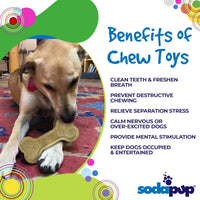 Bone eChew Ultra Durable Nylon Dog Chew Toy for Aggressive Chewers | USA Made - BIG FRENCHIES