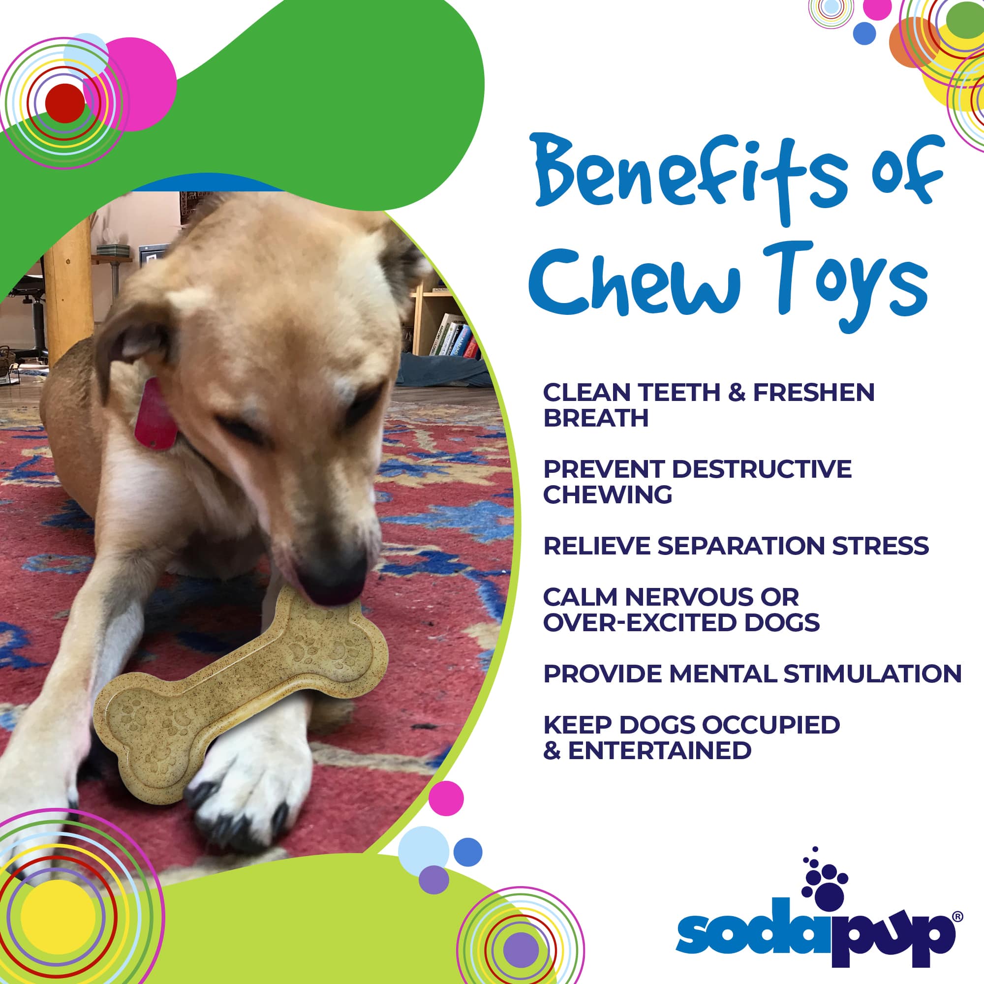 Bone eChew Ultra Durable Nylon Dog Chew Toy for Aggressive Chewers | USA Made - BIG FRENCHIES