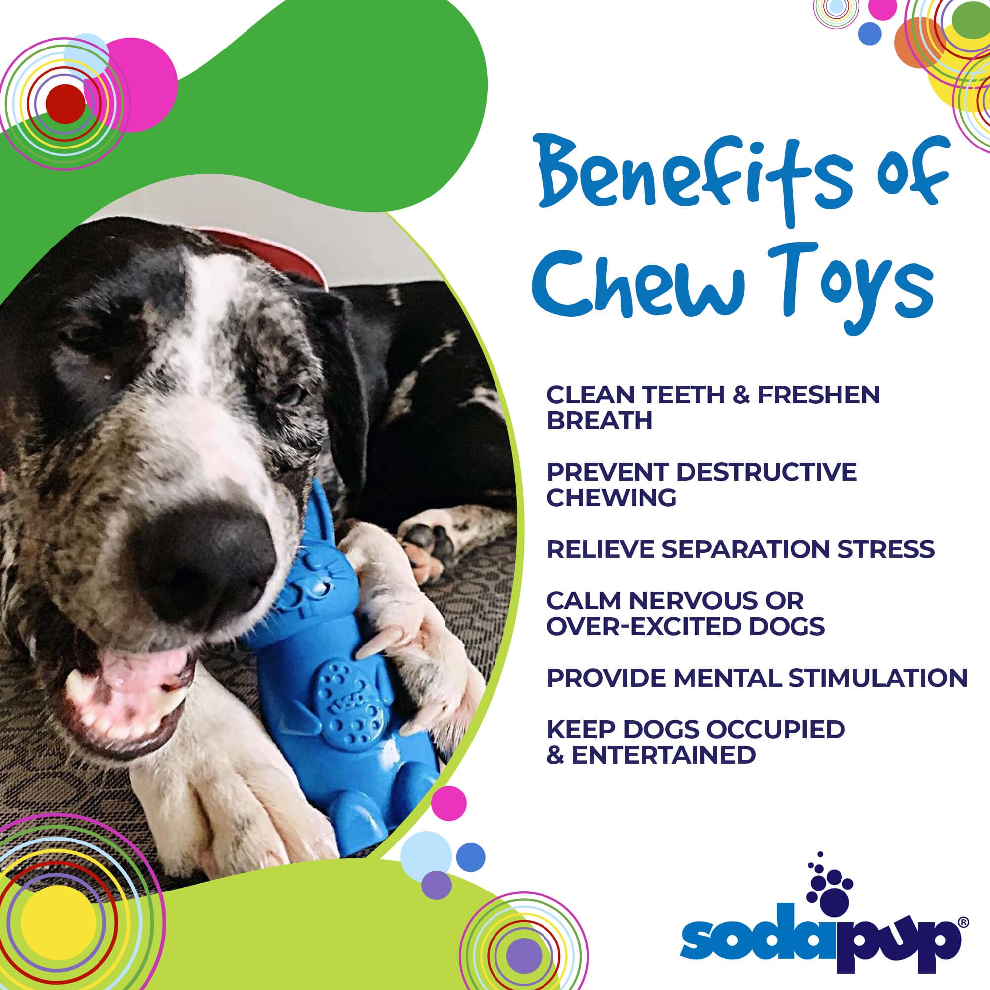 Bunny Nylon Chew Toy for Aggressive Chewers | Durable & USA Made - BIG FRENCHIES