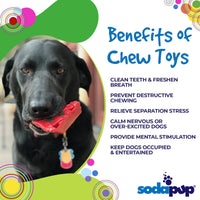 Cherry Pie Nylon Dog Chew Toy for Aggressive Chewers | USA Made | SodaPup - BIG FRENCHIES