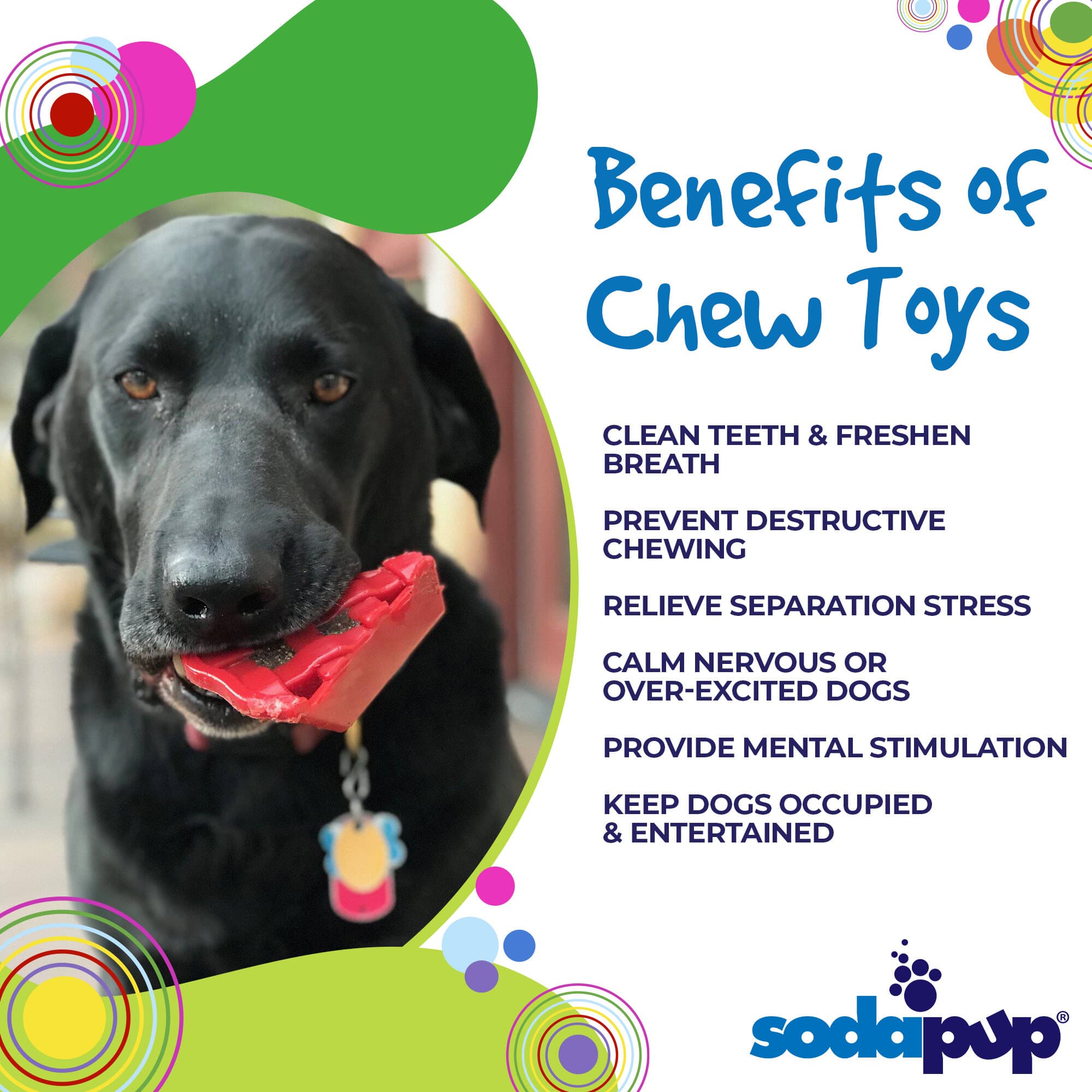 Cherry Pie Nylon Dog Chew Toy for Aggressive Chewers | USA Made | SodaPup - BIG FRENCHIES