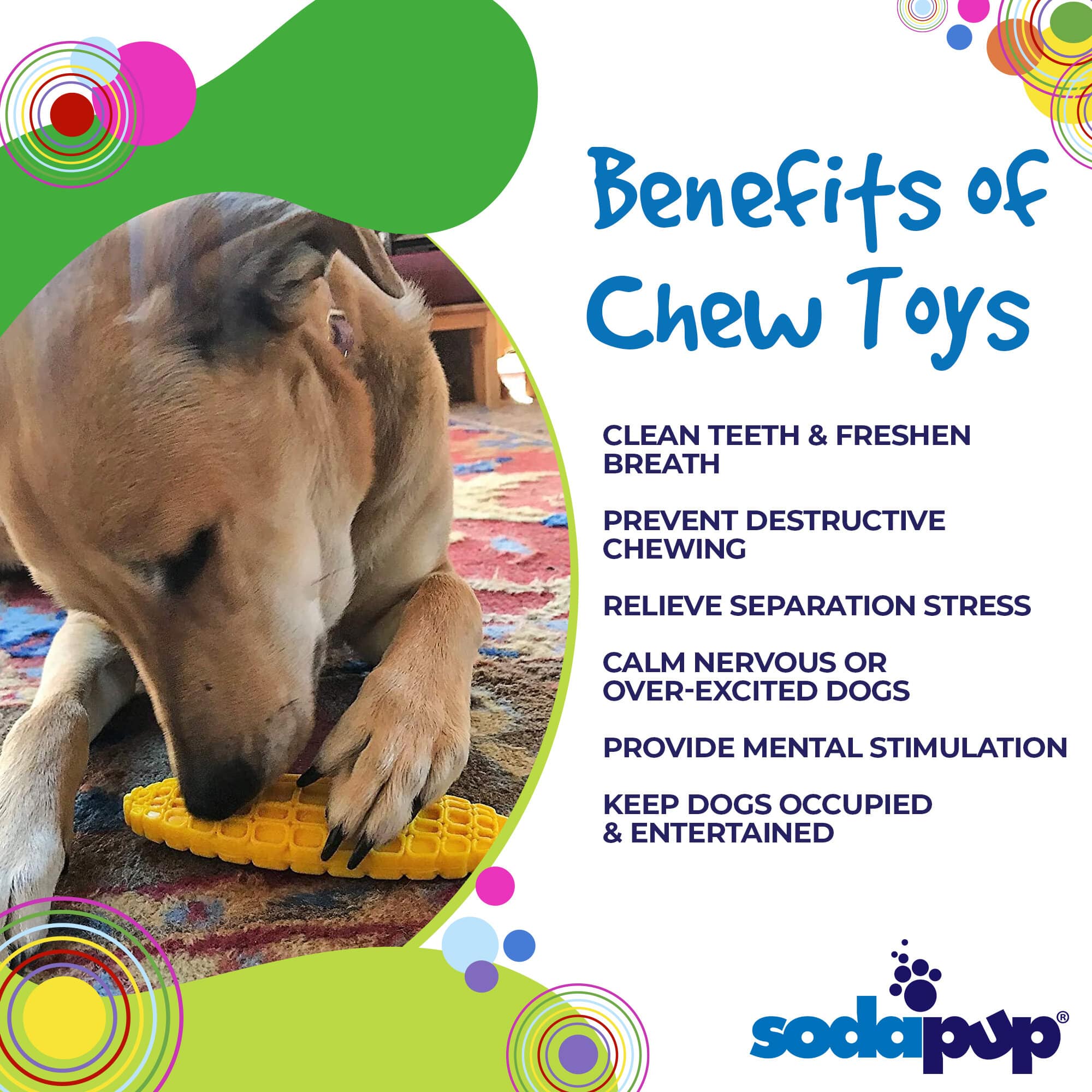 Corn on the Cob Nylon Dog Toy for Aggressive Chewers | USA Made | SodaPup - BIG FRENCHIES