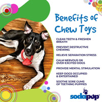 Diamond Ring Nylon Teething Ring for Puppies | Durable & USA Made - BIG FRENCHIES