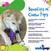 Fish Bone Nylon Dog Toy for Aggressive Chewers | USA Made | SodaPup - BIG FRENCHIES