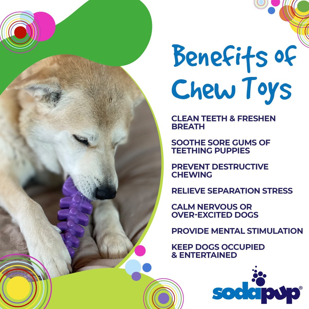 Fish Bone Nylon Dog Toy for Aggressive Chewers | USA Made | SodaPup - BIG FRENCHIES