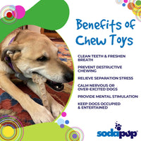 Flower Tower Nylon Chew Toy for Aggressive Chewers - USA Made Enrichment Toy - BIG FRENCHIES
