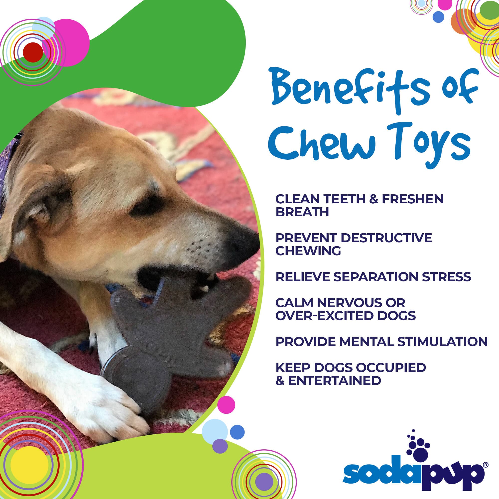 Gingerbread Man Nylon Dog Chew Toy for Aggressive Chewers | USA Made - BIG FRENCHIES