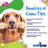 Honey Bone Nylon Dog Toy for Aggressive Chewers | Indestructible | USA Made - BIG FRENCHIES