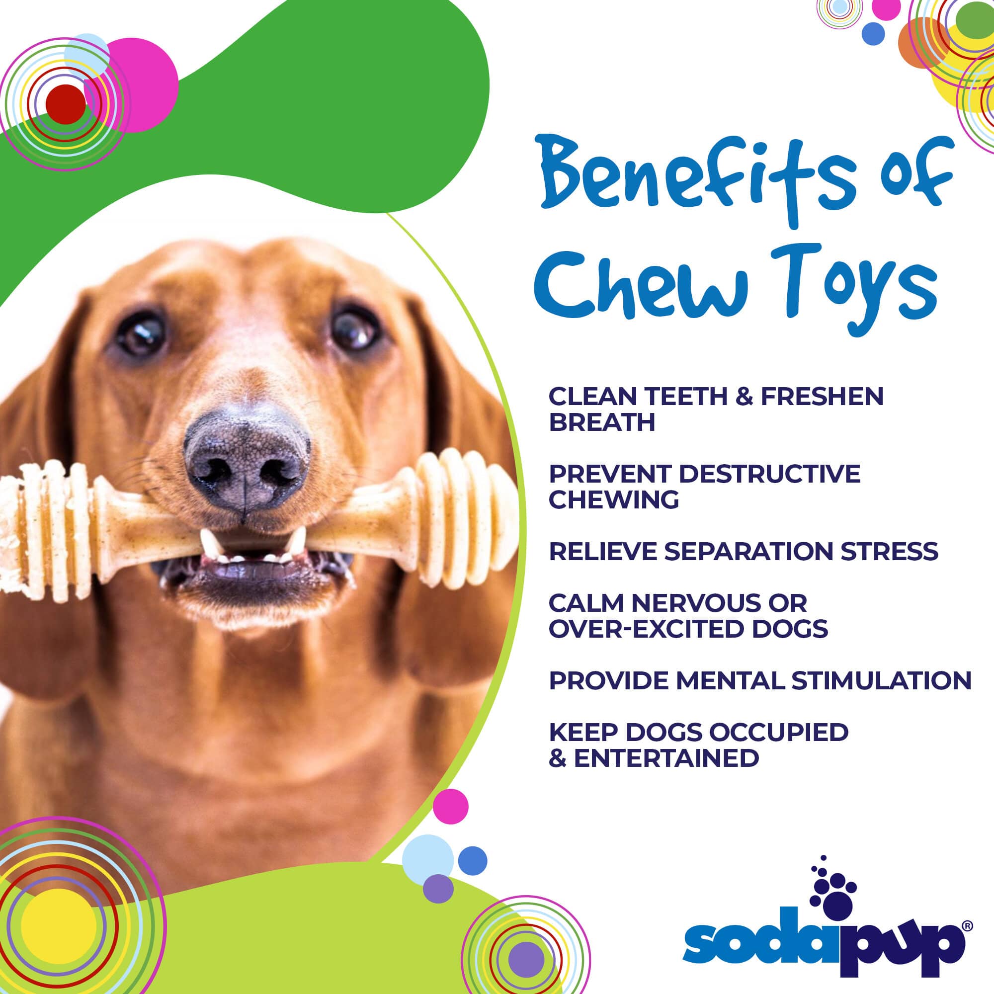 Honey Bone Nylon Dog Toy for Aggressive Chewers | Indestructible | USA Made - BIG FRENCHIES