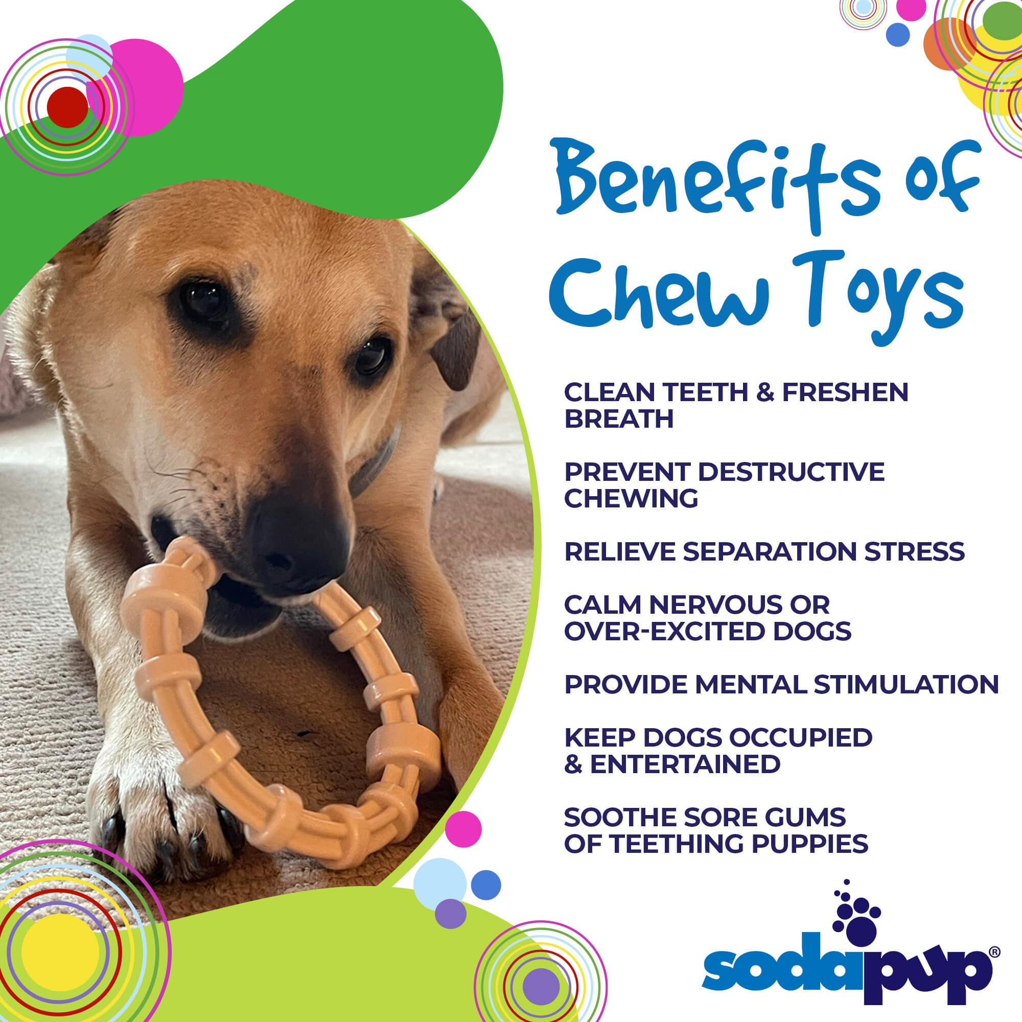 Chicken Flavored Teething Ring for Puppies & Aggressive Chewers | USA Made - BIG FRENCHIES