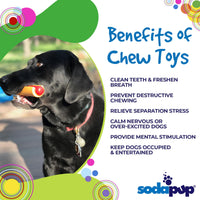Hot Dog Nylon Dog Toy for Aggressive Chewers | USA Made | SodaPup - BIG FRENCHIES