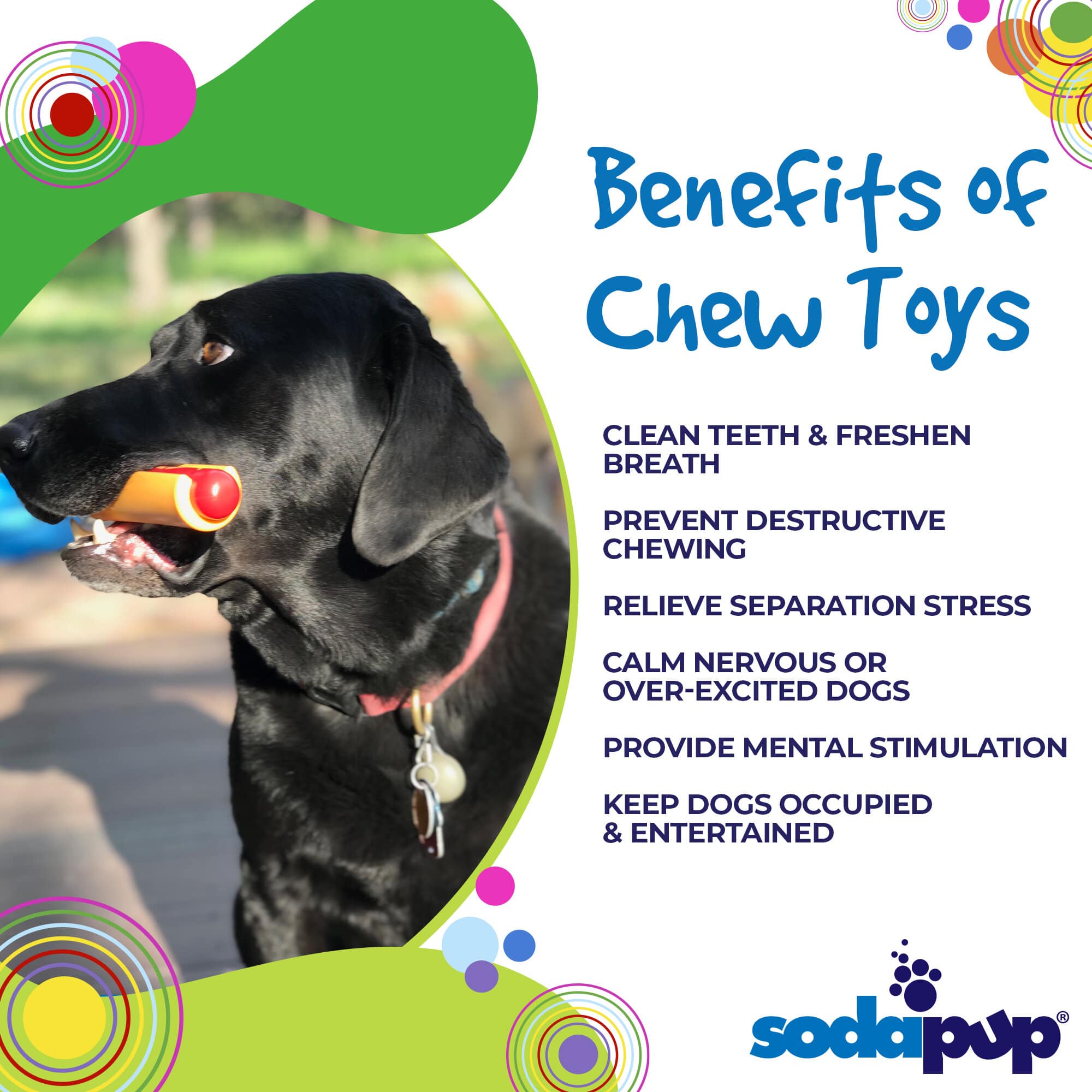 Hot Dog Nylon Dog Toy for Aggressive Chewers | USA Made | SodaPup - BIG FRENCHIES