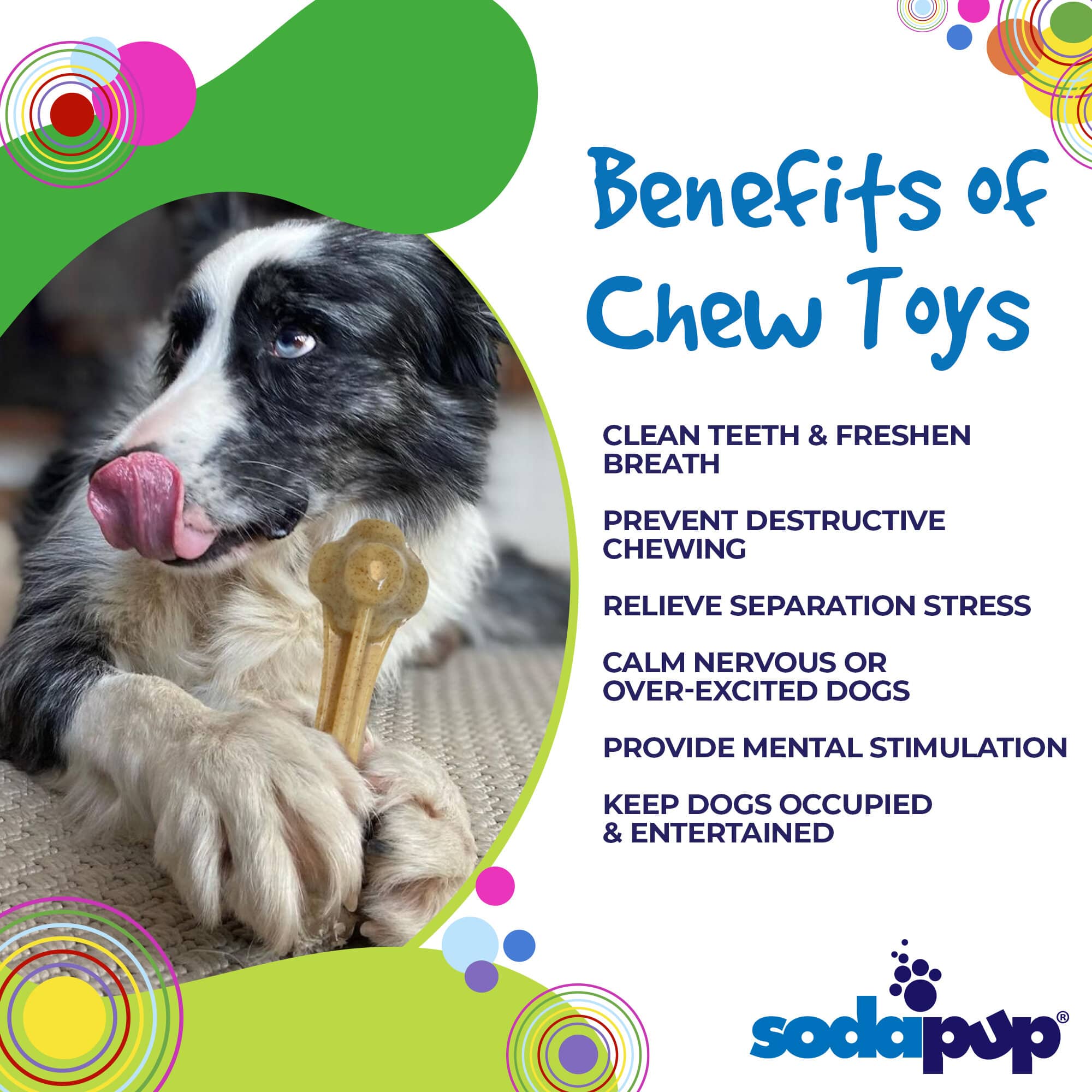 Knuckle Bone Nylon Dog Chew Toy for Aggressive Chewers | Made in USA - BIG FRENCHIES