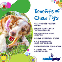 MOD Wishbone Nylon Dog Chew Toy for Aggressive Chewers | USA Made - BIG FRENCHIES