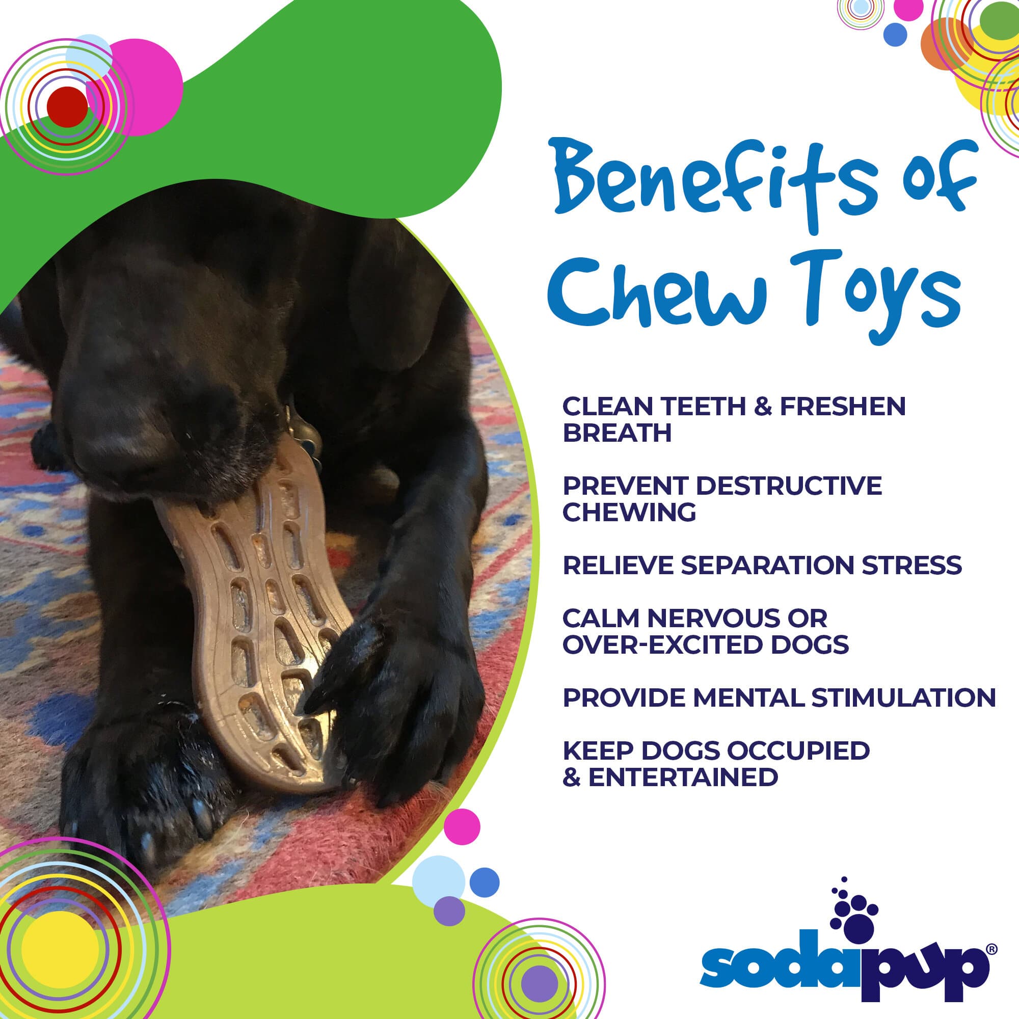 Peanut Nylon Dog Chew Toy | Ultra-Durable for Aggressive Chewers | SodaPup - BIG FRENCHIES