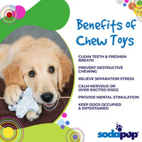 Snowflake Nylon Dog Chew Toy for Aggressive Chewers | USA Made & FDA Compliant - BIG FRENCHIES